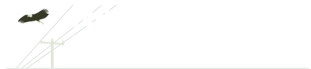 Narrowsburg Electric Logo