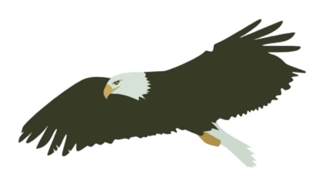eagle
